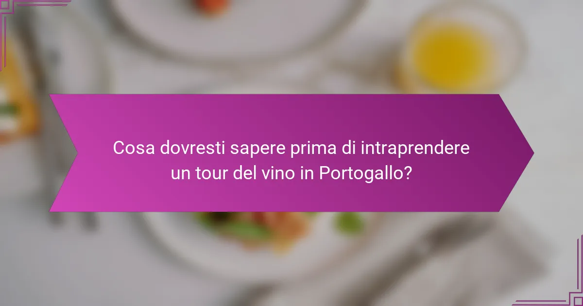 Cosa dovresti sapere prima di intraprendere un tour del vino in Portogallo?