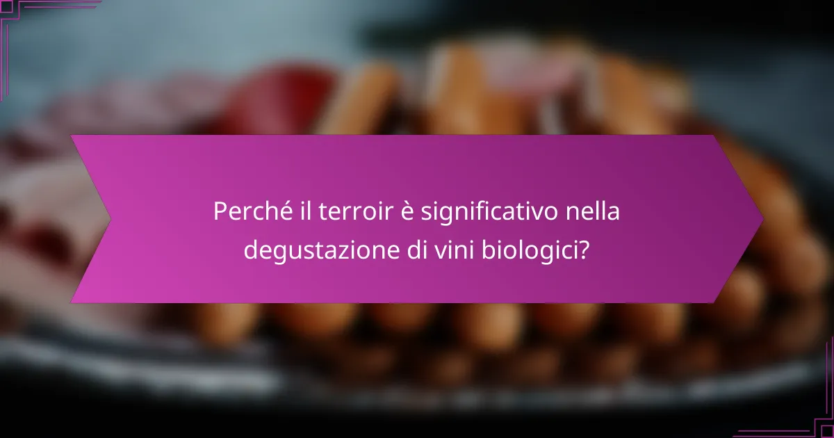 Perché il terroir è significativo nella degustazione di vini biologici?