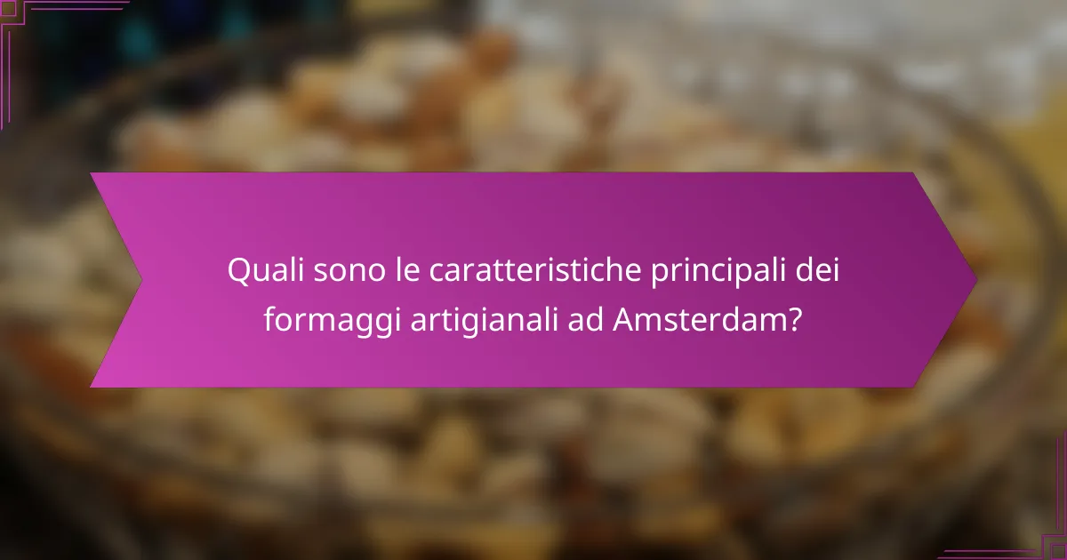 Quali sono le caratteristiche principali dei formaggi artigianali ad Amsterdam?